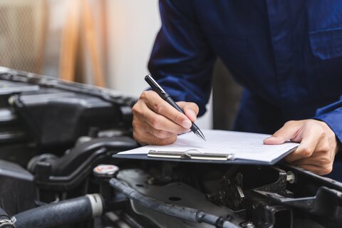 MOT image - main